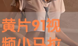黄片小视频,网络暗流涌动的隐秘世界